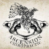 Brands,  Businesses, Places & Professionals Ascension Chiropractic in Raymore MO