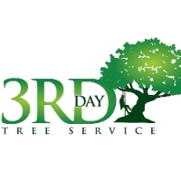 Brands,  Businesses, Places & Professionals 3rd Day Tree Service, LLC in Gatesville TX