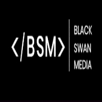 Brands,  Businesses, Places & Professionals Albany SEO - Black Swan Media in Albany NY