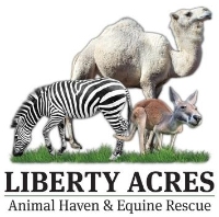 Brands,  Businesses, Places & Professionals Liberty Acres Animal Haven & Equine Rescue in Liberty NC