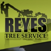 Brands,  Businesses, Places & Professionals Reyes Tree Service in Vancouver WA