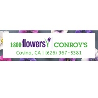 1-800-Flowers | Conroy's Flowers Covina