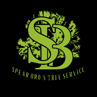 Brands,  Businesses, Places & Professionals Spear Bro’s Tree Service in Wolcott CT