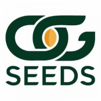 Brands,  Businesses, Places & Professionals OG Seeds in Venice CA