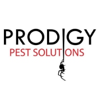 Brands,  Businesses, Places & Professionals Prodigy Pest Solutions in Sarasota FL