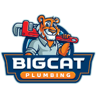 Big Cat Plumbing