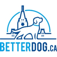 Brands,  Businesses, Places & Professionals Betterdog in  