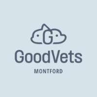 GoodVets Montford