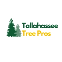 Brands,  Businesses, Places & Professionals Tallahassee Tree Pros in Tallahassee FL