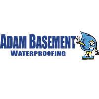 Adam Basement