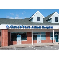 Claws 'N' Paws Animal Hospital