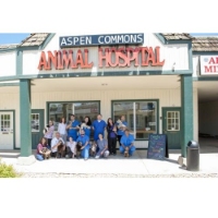 Brands,  Businesses, Places & Professionals Aspen Commons Animal Hospital in Denver CO