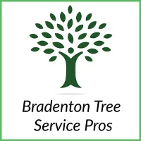 Bradenton Tree Service Pros