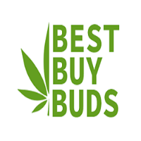 Brands,  Businesses, Places & Professionals Buy Best Buds in  