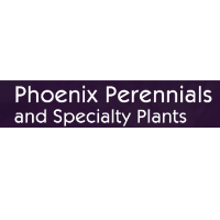 Phoenix Perennials