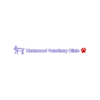 Brands,  Businesses, Places & Professionals Chatswood Veterinary Clinic in Willoughby NSW