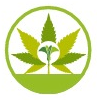 Cannabis Directory Online