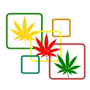 Cannabis Digital Directory