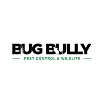 Bug Bully Pest Control