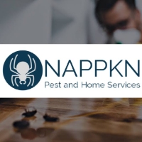 Brands,  Businesses, Places & Professionals Nappkn Pest and Home Services in San Antonio TX