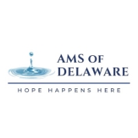 Brands,  Businesses, Places & Professionals AMS of Delaware, LLC in Rehoboth Beach DE