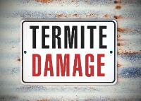 Cement Capital Termite Removal Experts