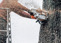 Brands,  Businesses, Places & Professionals Heart Of The Valley Tree Services in Corvallis OR