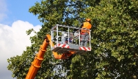 Brands,  Businesses, Places & Professionals Kansas Tree Service in Lawrence KS