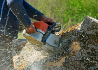 Brands,  Businesses, Places & Professionals Fountains City Tree Service in Kansas City MO