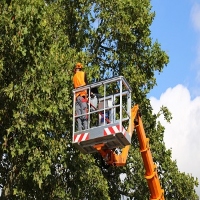 Brands,  Businesses, Places & Professionals Gateway Tree Service Co in Omaha NE