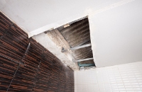 Mold Experts of Minnesota