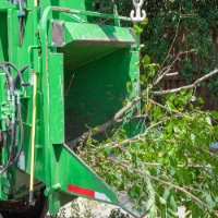 Brands,  Businesses, Places & Professionals Athens of America Tree Service in Annapolis MD