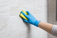 Tile and Grout Cleaning Chandler