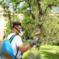 Brands,  Businesses, Places & Professionals Gate City Tree Service in Pocatello ID