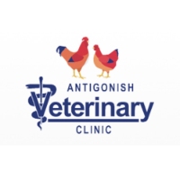 Antigonish Veterinary Clinic