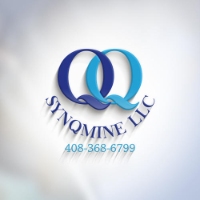 Brands,  Businesses, Places & Professionals SYNQMINE Tax Planning and CFO Services in Milpitas CA