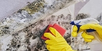 Brands,  Businesses, Places & Professionals Hero of Two Worlds Mold Inspection in  KY