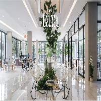 Brands,  Businesses, Places & Professionals Tree Tara Hotel Tree Tara Hotel (Thaialnd) โรงแรมลำปาง, ที่พักลำปาง in  จ.ลำปาง