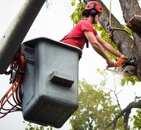 Brands,  Businesses, Places & Professionals LUMBERTOWN TREE SERVICE in Muskegon MI