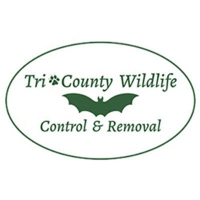 Tri-County Wildlife Control & Removal