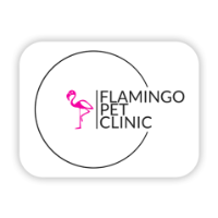 Brands,  Businesses, Places & Professionals Flamingo Pet Clinic in Las Vegas NV