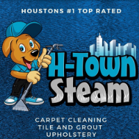 Brands,  Businesses, Places & Professionals H-Town Steam in Spring TX