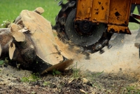 Brands,  Businesses, Places & Professionals Sunnyvale Tree Removal Services in Sunnyvale CA