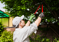 Brands,  Businesses, Places & Professionals Flathead Lake Tree Service in Kalispell, MT MT