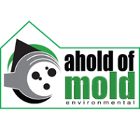 Ahold of Mold Environmental