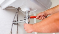 Crepe Myrtle Plumbing Experts