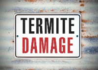 Brands,  Businesses, Places & Professionals Amelia Island Termite Removal Experts in Fernandina Beach, FL FL