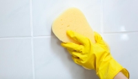 Brands,  Businesses, Places & Professionals Tile and Grout Cleaning Phoenix in Phoenix AZ