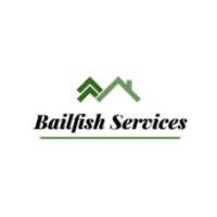 Brands,  Businesses, Places & Professionals Bailfish Services LLC in Lewis Center OH