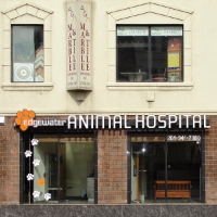 Brands,  Businesses, Places & Professionals Edgewater Animal Hospital in Edgewater NJ